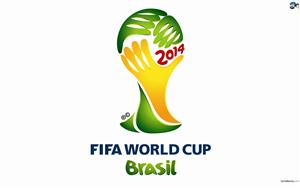 FIFA World Cup 2014